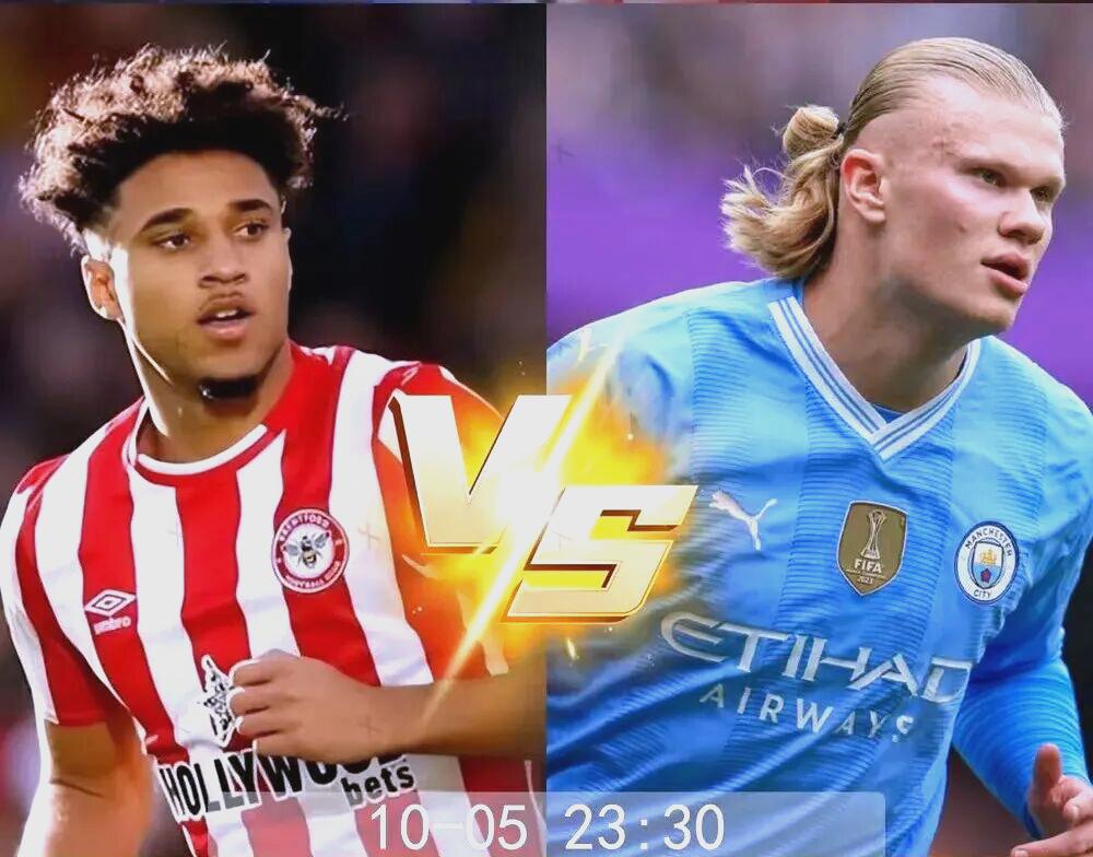 IM电竞官网-布伦特福德老球迷