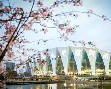 IMsports平台-上海大鲨鱼2016